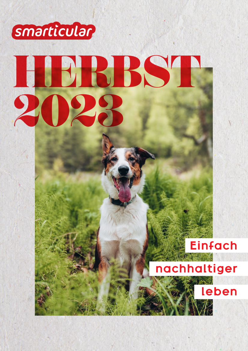 Vorschau smarticular Herbst 2023